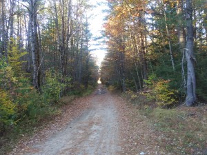 Dirt road - distant light